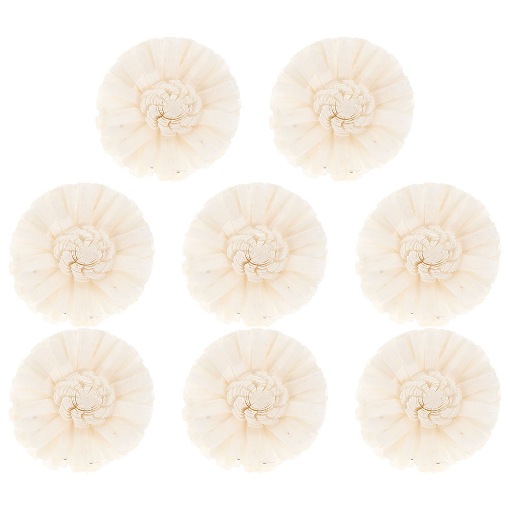 8Pcs Flameless Chrysanthemum F - огляд і ціна Home Fragrance Usa